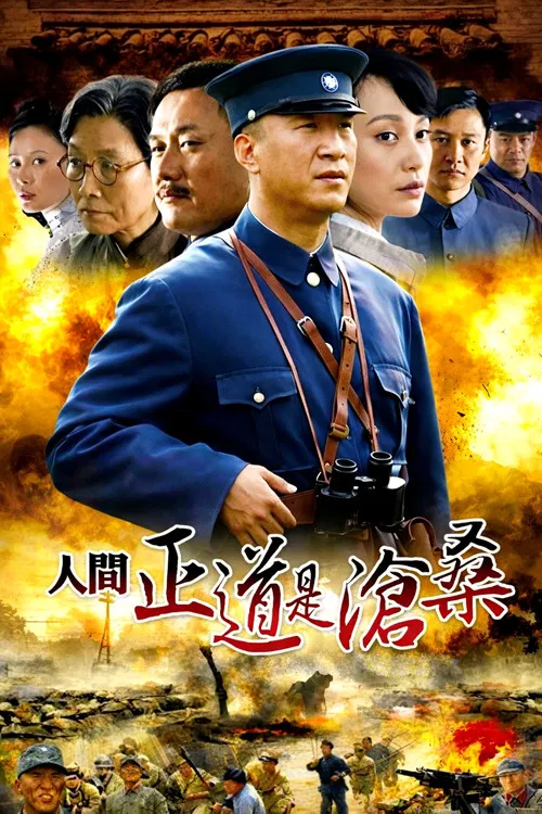 人间正道是沧桑(2009)海报