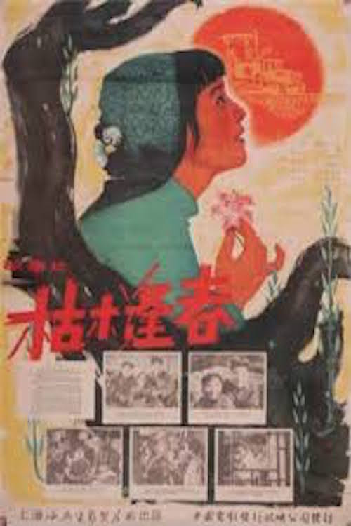 枯木逢春(1961)海报
