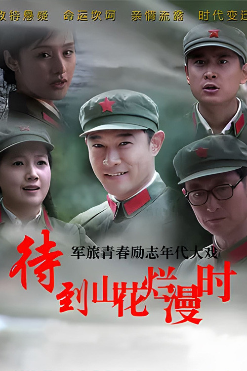 待到山花烂漫时(2014)海报