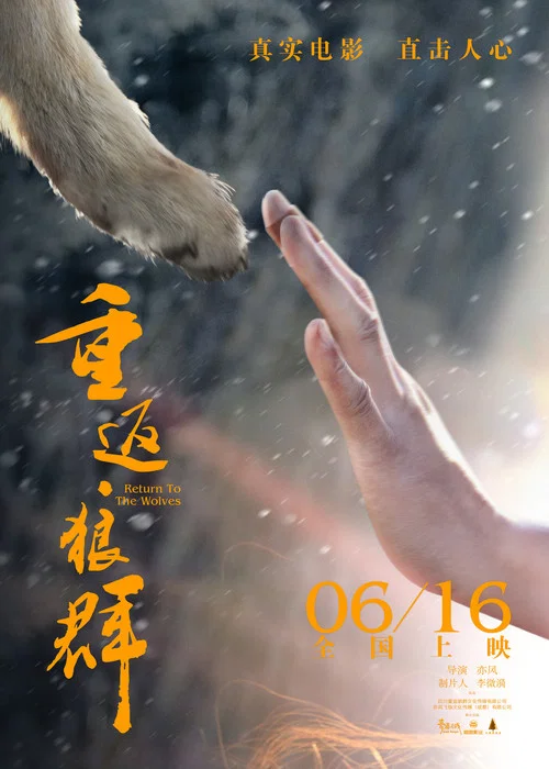 重返·狼群剧照6