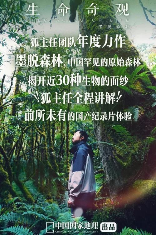 生命奇观剧照2