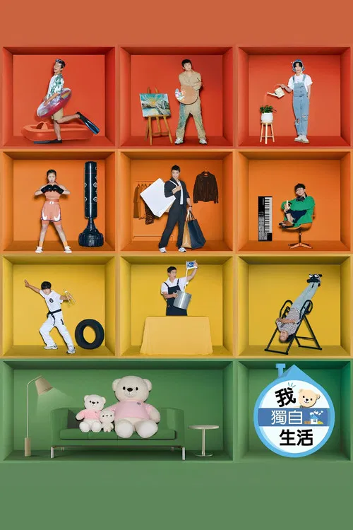 我独自生活(2013)海报