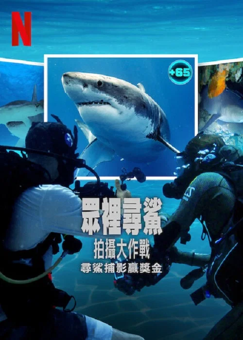 众里寻鲨:拍摄大作战(2025)海报