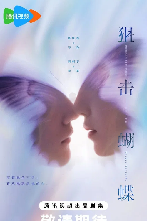 狙击蝴蝶剧照4
