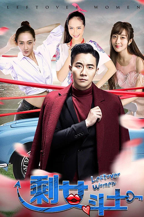 剩女斗士(2017)海报