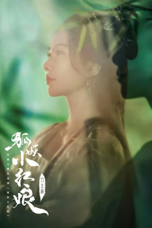淮水竹亭剧照10
