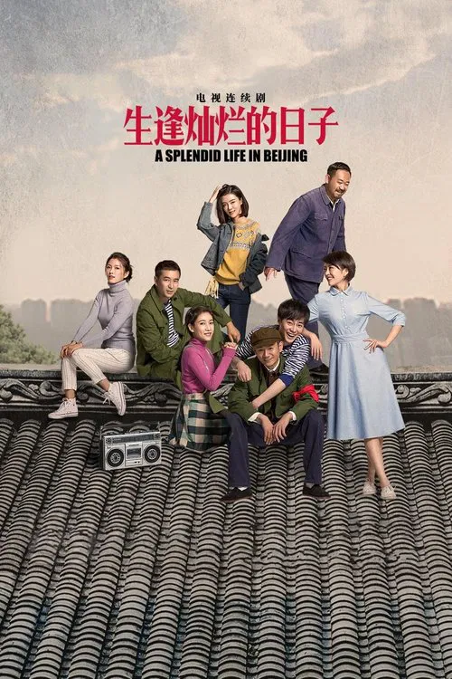 生逢灿烂的日子(2017)海报