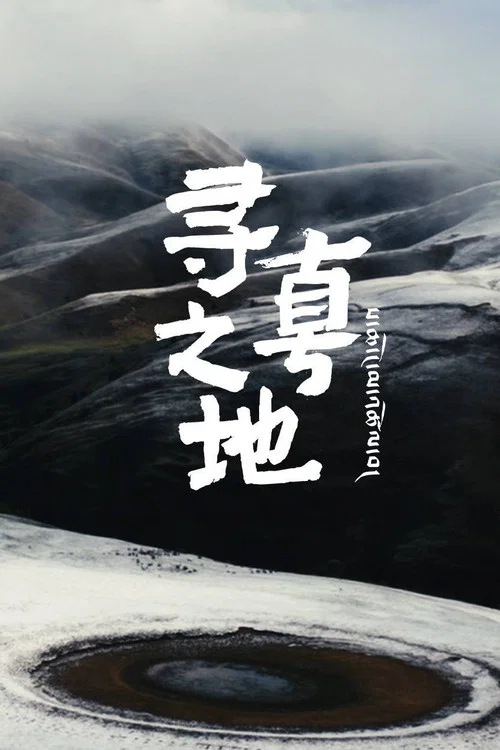 寻真之地(2025)海报