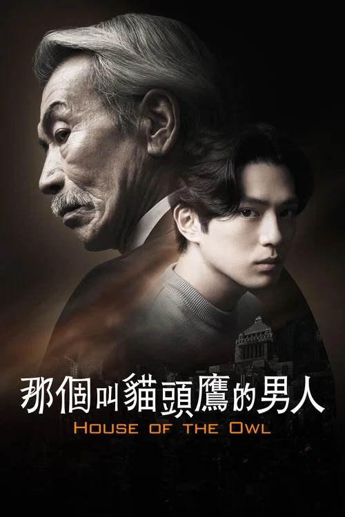 那个叫猫头鹰的男人(2024)海报
