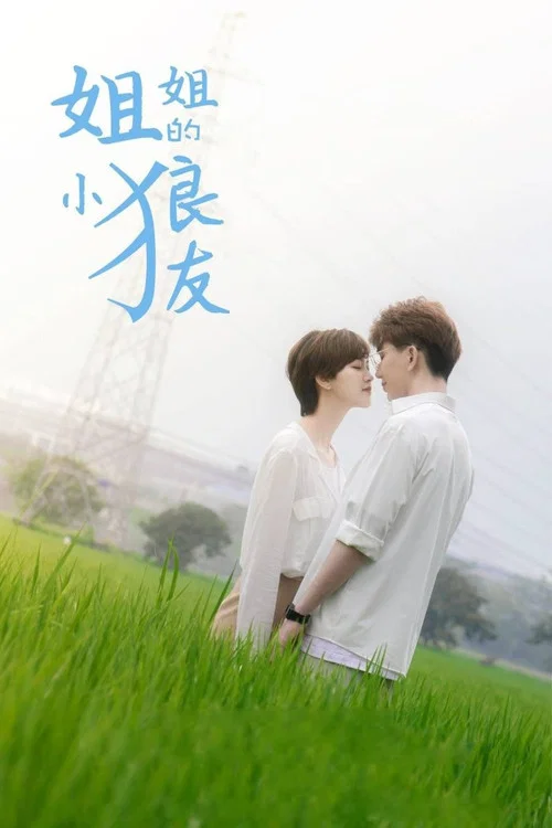 姐姐的小狼友(2021)海报
