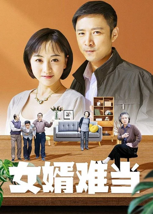 女婿难当(2012)海报