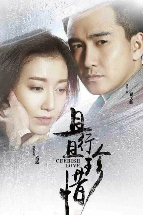 且行且珍惜(2015)海报