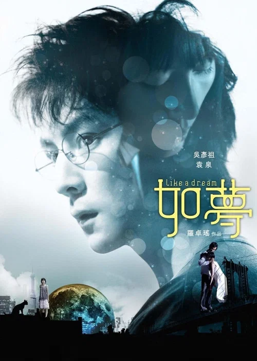 如梦(2010)海报