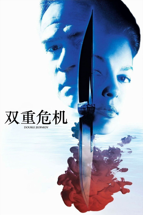 双重危机剧照2