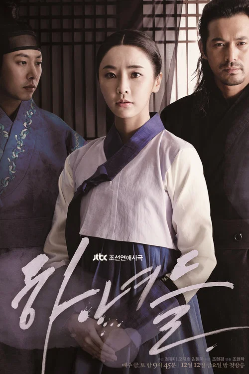 下女们(2014)海报