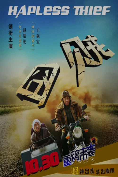 囧贼(2015)海报