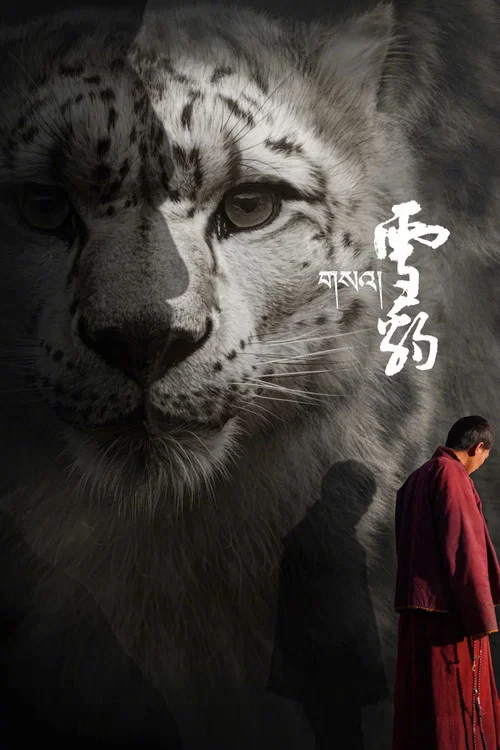 雪豹2023(2023)海报