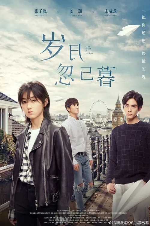 岁月忽已暮(2021)海报