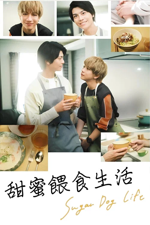 甜蜜喂食生活(2024)海报