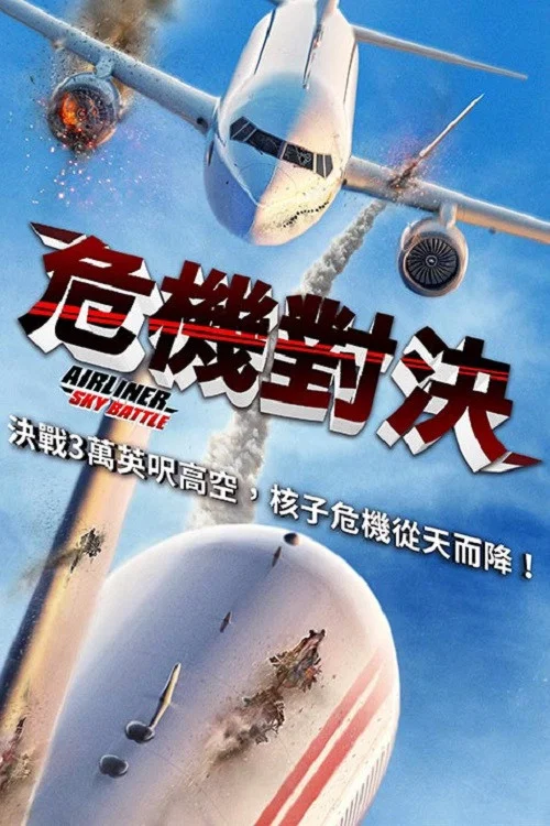 客机空战(2020)海报