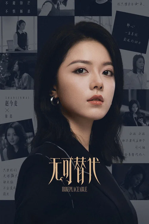 无可替代剧照13