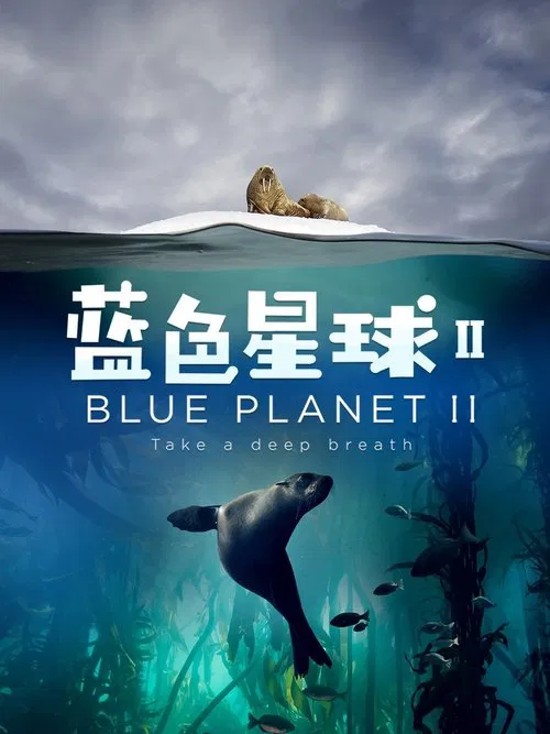 蓝色星球(中配版)(2017)海报