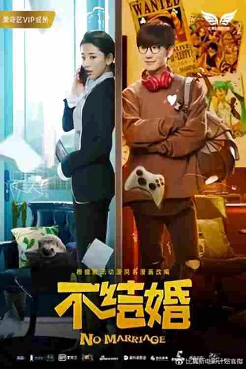 不结婚(2017)海报
