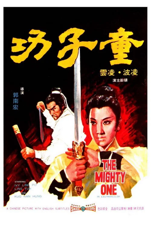 童子功(1972)海报
