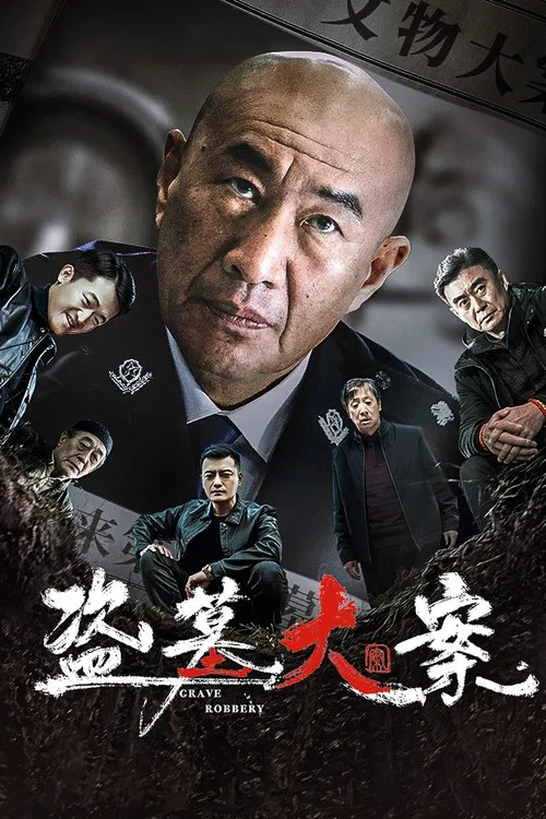 盗墓大案(2026)海报