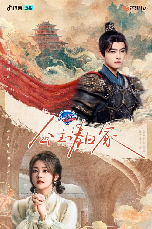 公主请回家(2024)海报