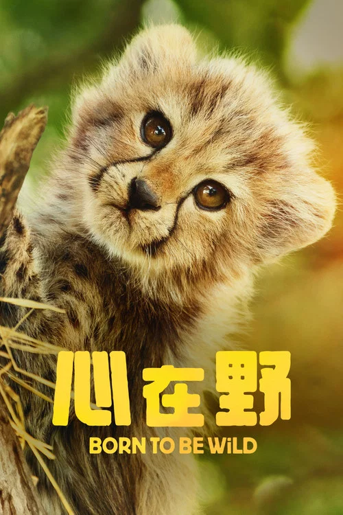 生而狂野(2025)海报