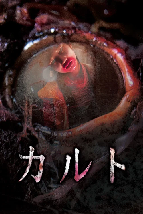 异教凶邻(2013)海报