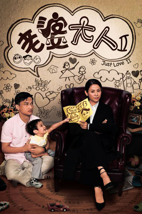 老婆大人2(2009)海报