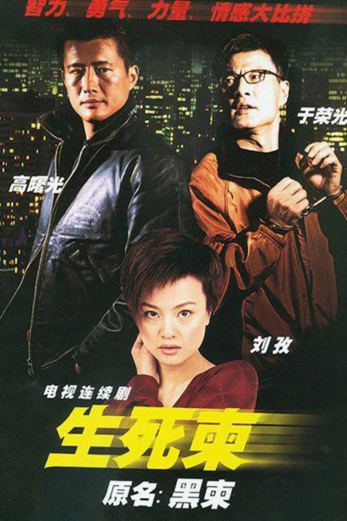 生死柬(2003)海报