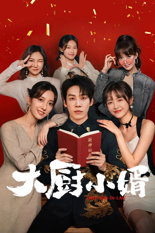 大厨小婿剧照4