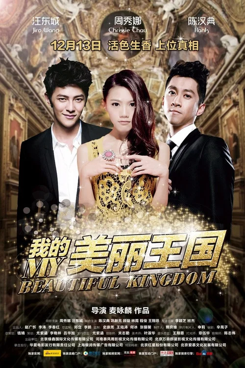 我的美丽王国(2013)海报