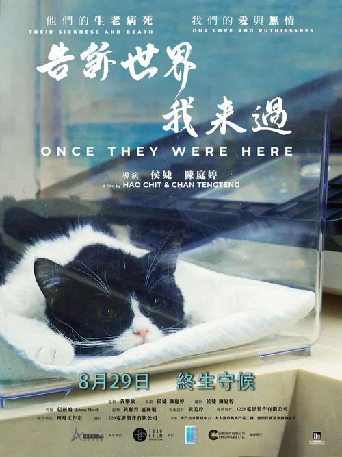告诉世界我来过(2021)海报