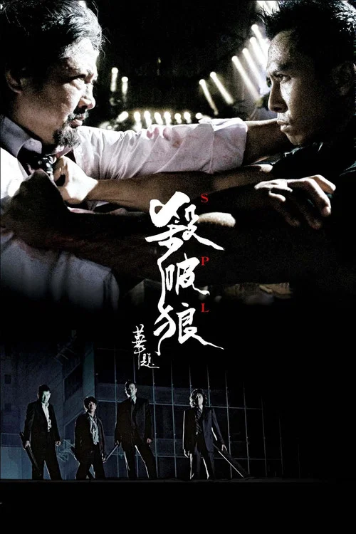 杀破狼(2005)海报