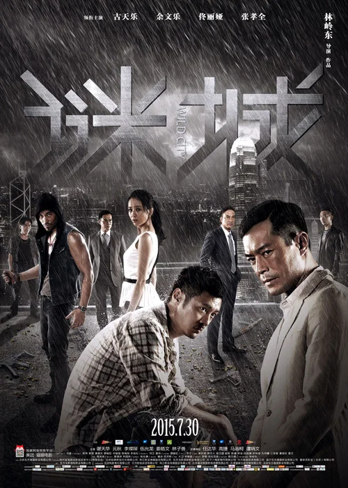 谜城(2015)海报