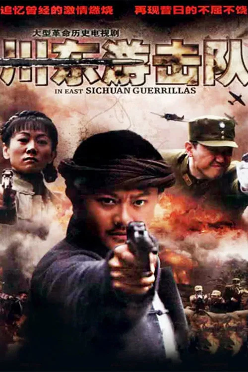 川东游击队(2012)海报