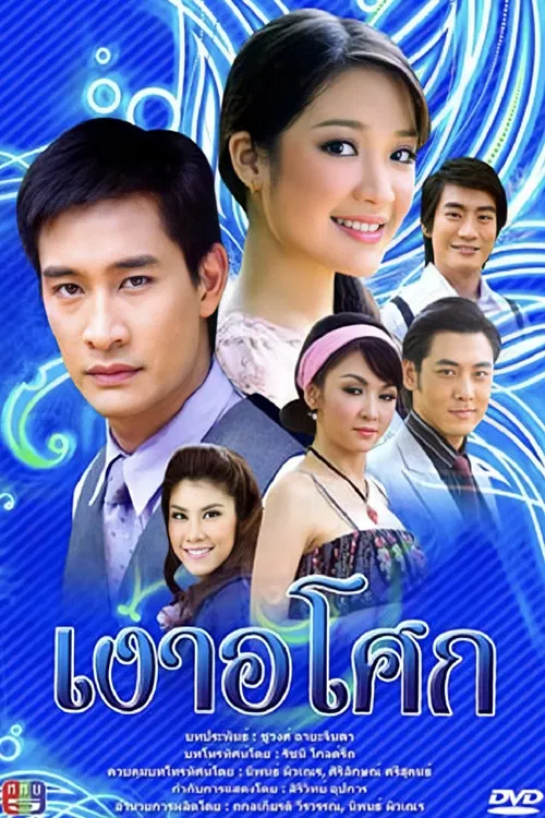 无忧花开(2008)海报