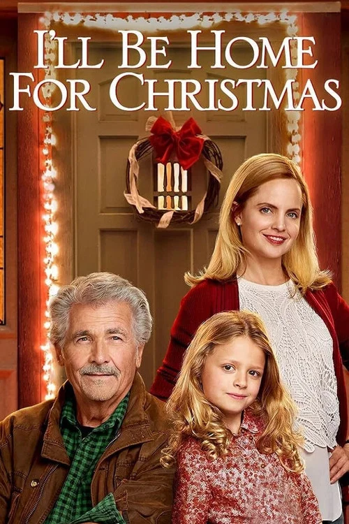 回家过圣诞(2016)海报