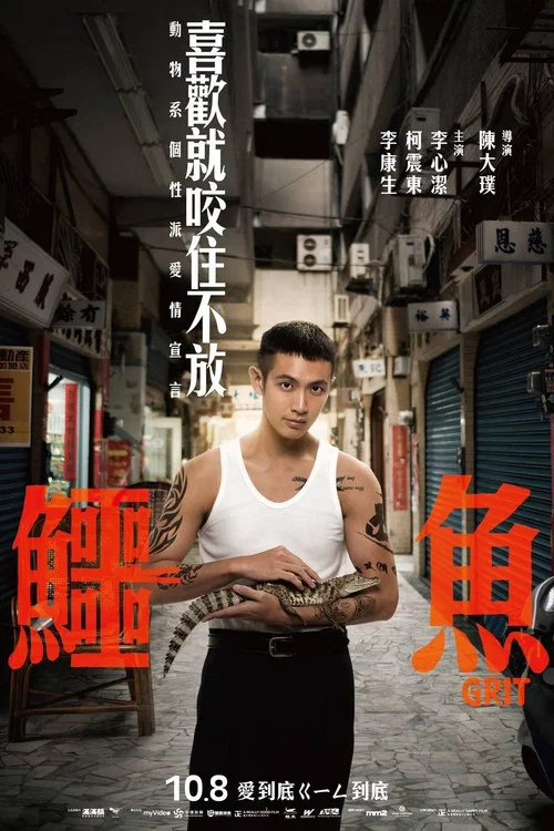 鳄鱼剧照4