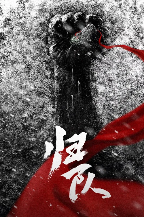 归队(2025)海报