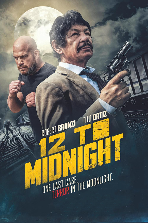 12到午夜(2024)海报