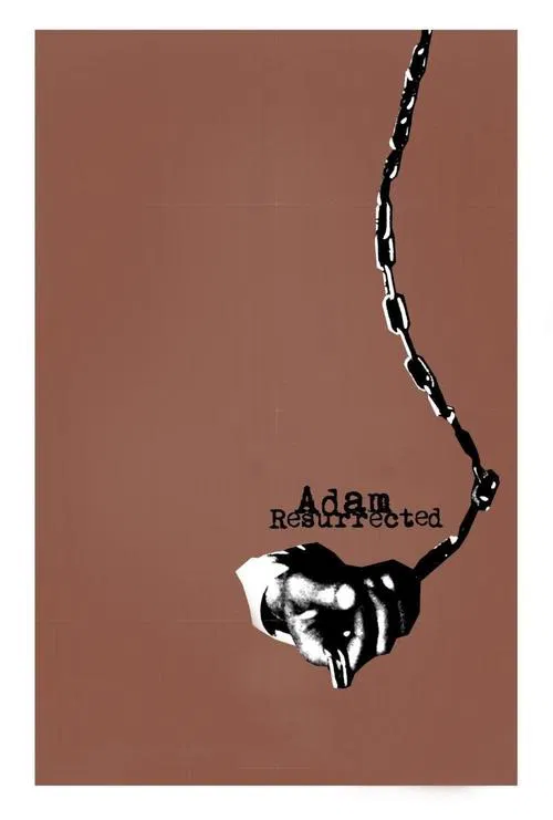 苏醒的亚当(2008)海报