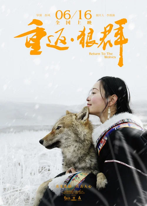 重返·狼群(2017)海报