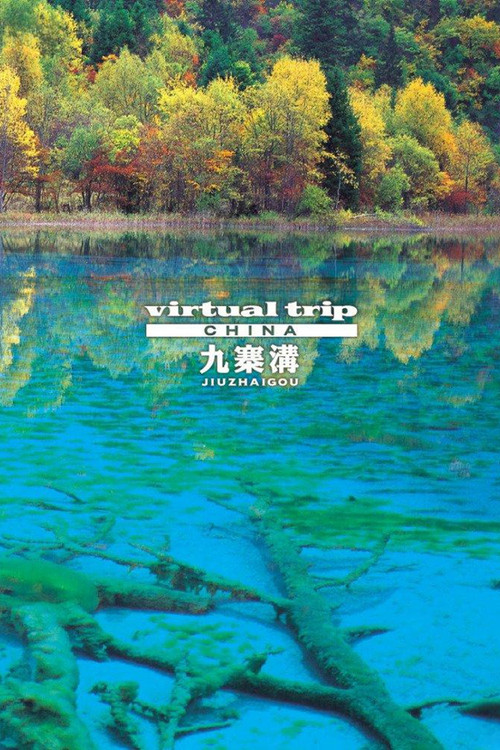 实境之旅九寨沟(2006)海报