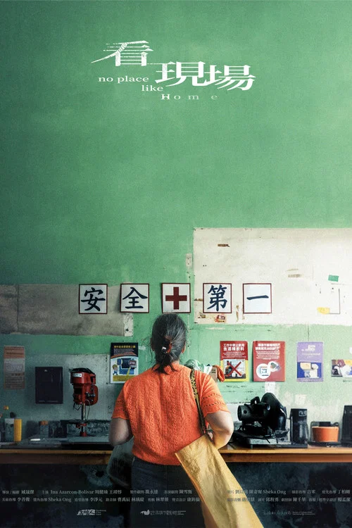 看(2025)海报