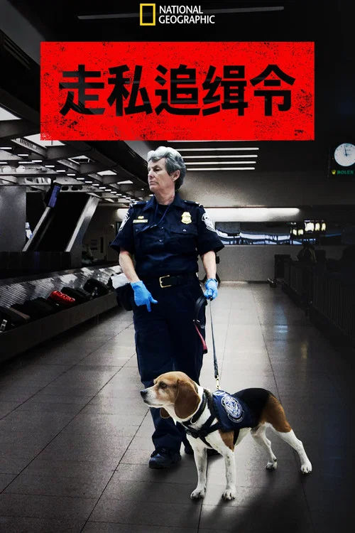 走私追缉令 第一季剧照3